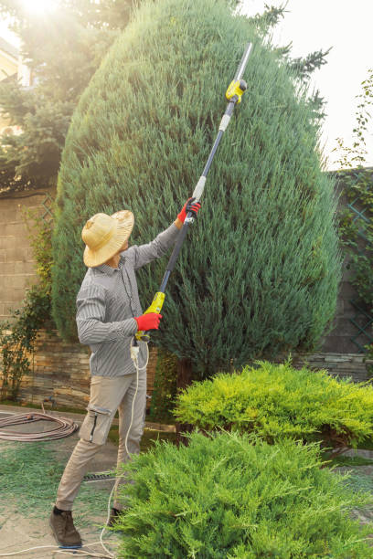 Best Sod Installation  in Channel Lake, IL